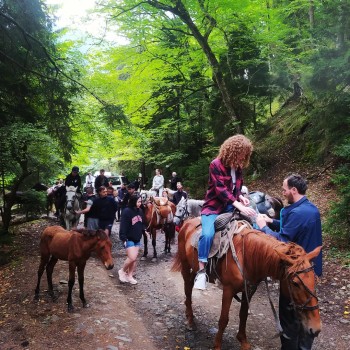 Horse riding Borjomi