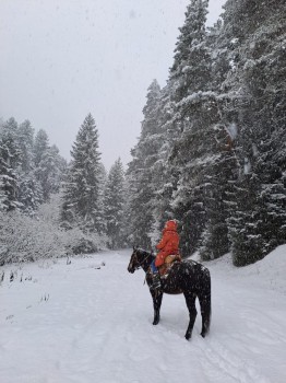 Winter horsing in Borjomi